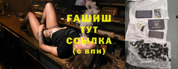 тгк Инсар