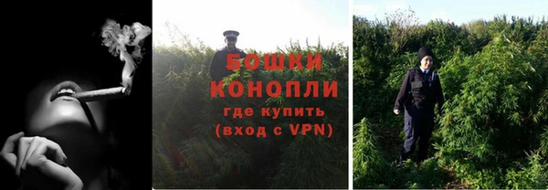 тгк Инсар