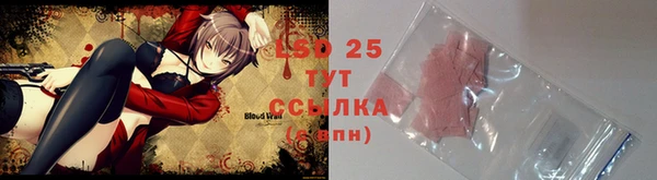 тгк Инсар