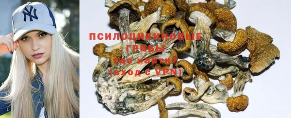 тгк Инсар