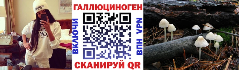 Псилоцибиновые грибы мухоморы  Купить закладки  Белая Калитва 