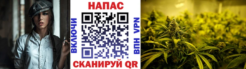 Бошки марихуана тримм  Купить закладки  Белая Калитва 